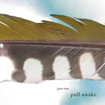 Pull Awake by June Star