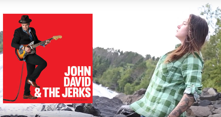 Swedish Dreams by John David and the Jerks